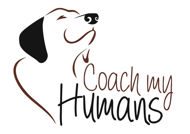 Hundeschule Coach my Humans